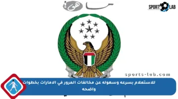 للاستعلام بسرعة وسهولة عن مخالفات المرور في الإمارات بخطوات واضحة